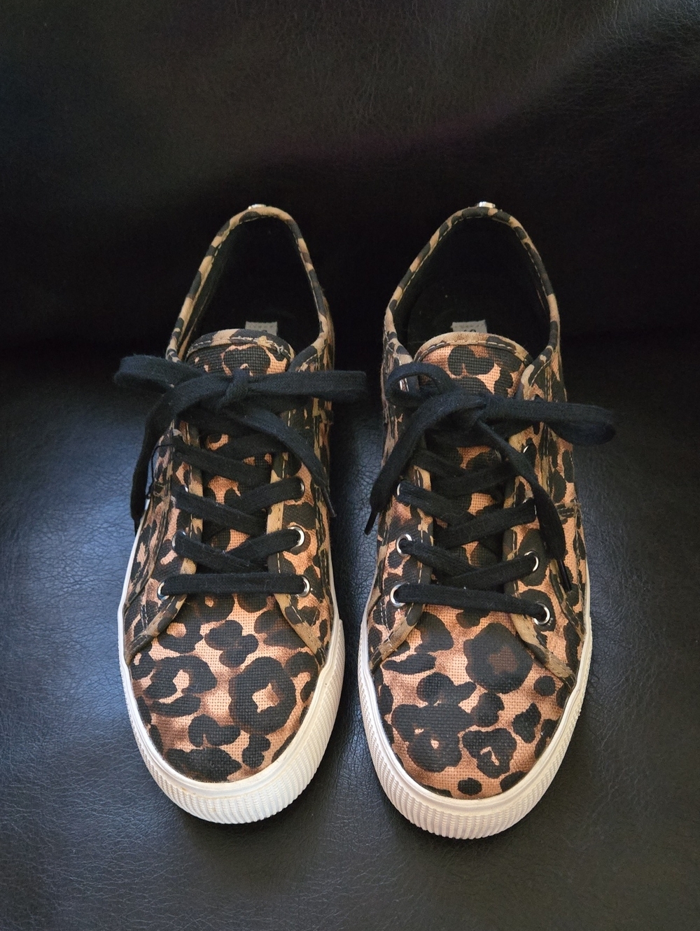 Steve Madden Emmi Leopard Print Canvas Sneakers - Black & Brown Size 10M - Picture 2 of 12